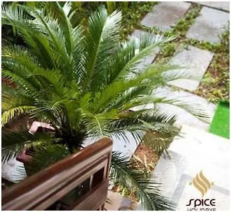 Spice Holidays Hotel Kochi Pensjonat